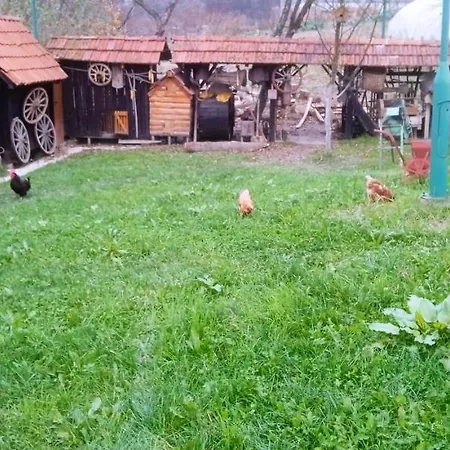 Etno Selo דירה *